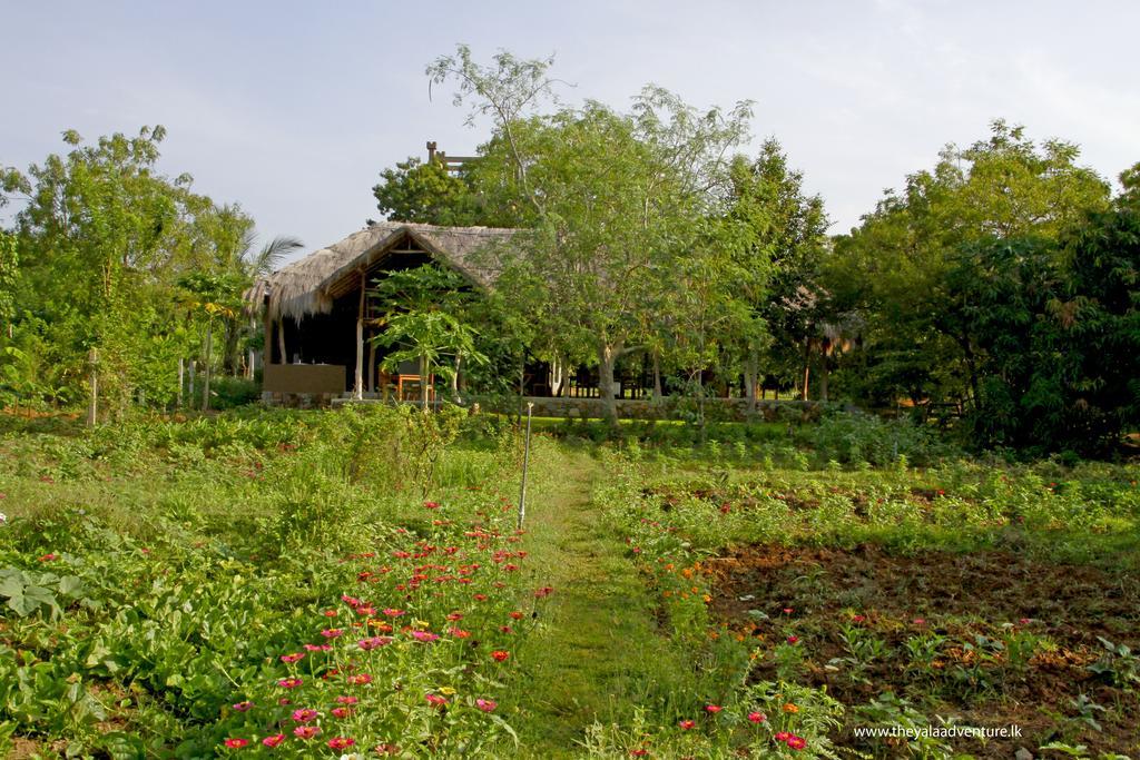 The Yala Adventure Tissamaharama Exterior foto