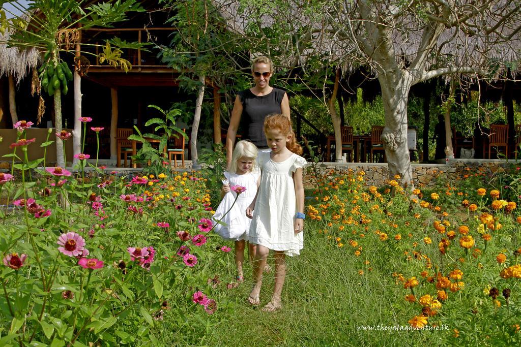 The Yala Adventure Tissamaharama Exterior foto