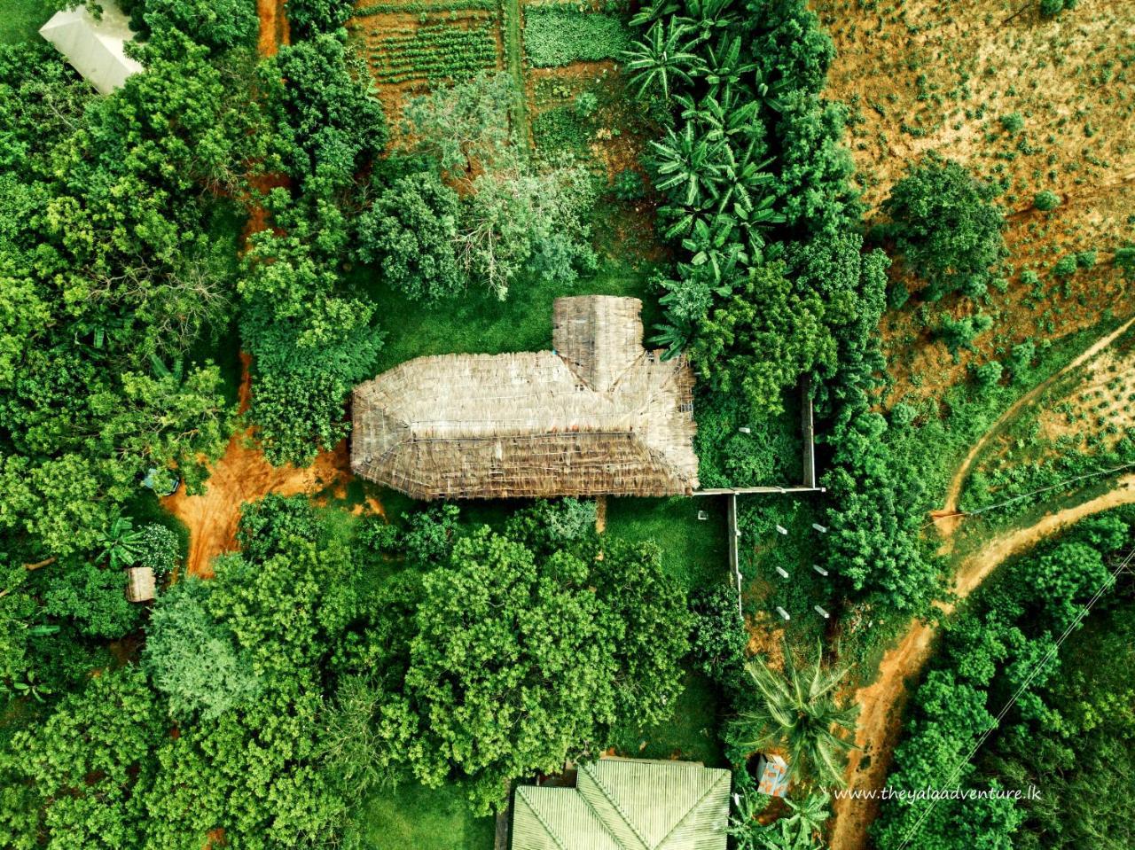 The Yala Adventure Tissamaharama Exterior foto