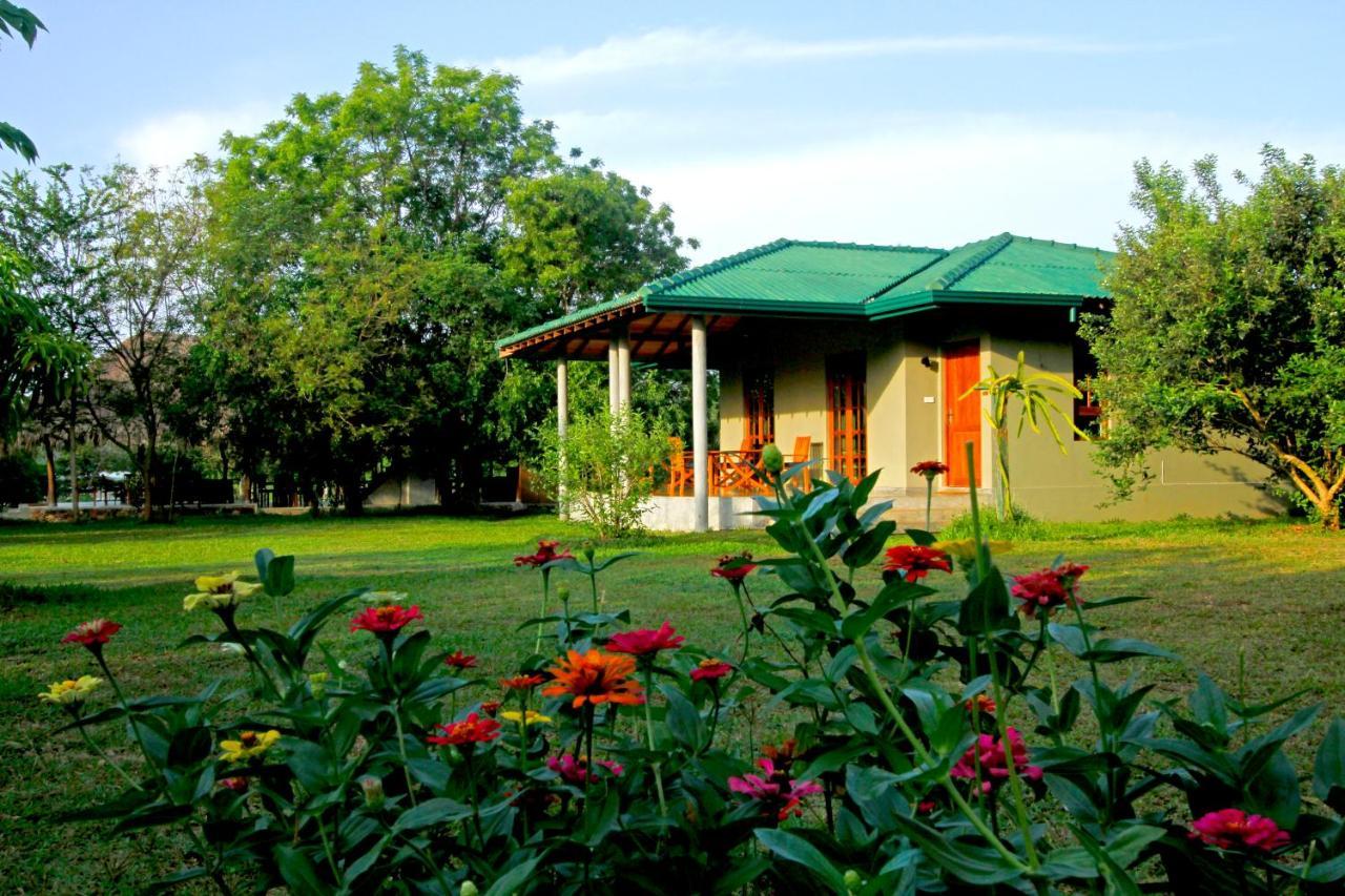 The Yala Adventure Tissamaharama Exterior foto